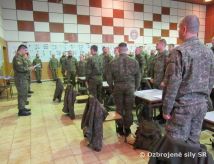 Vber profesionlnych vojakov do opercie UNFICYP 